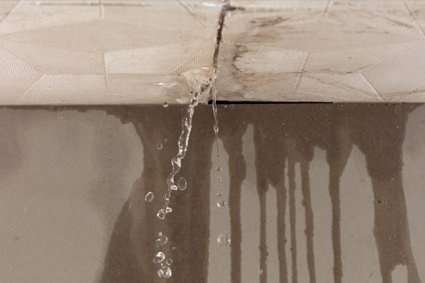 Professional Burst Pipe Cleanup technician working in Vandalia, IL